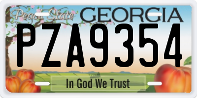 GA license plate PZA9354