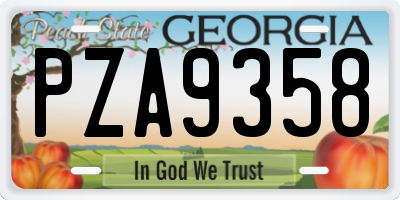 GA license plate PZA9358