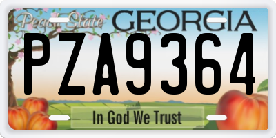 GA license plate PZA9364
