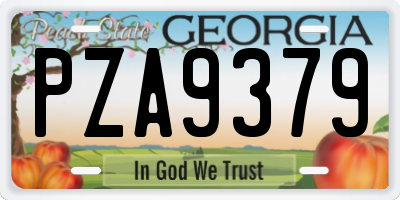 GA license plate PZA9379