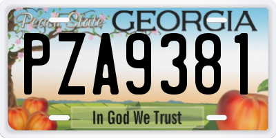 GA license plate PZA9381