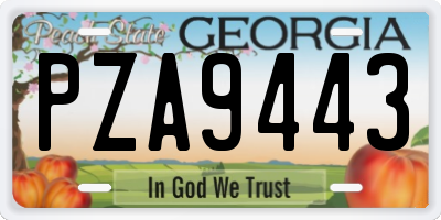GA license plate PZA9443