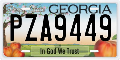 GA license plate PZA9449