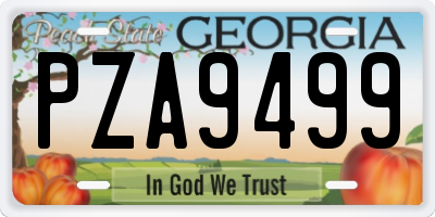 GA license plate PZA9499