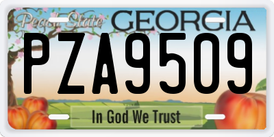GA license plate PZA9509