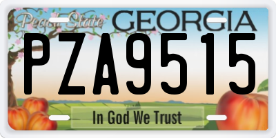 GA license plate PZA9515