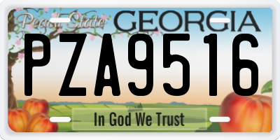 GA license plate PZA9516