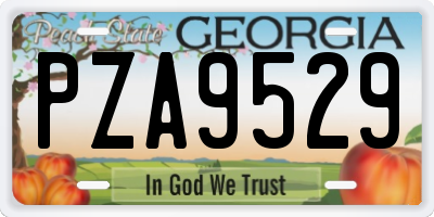 GA license plate PZA9529