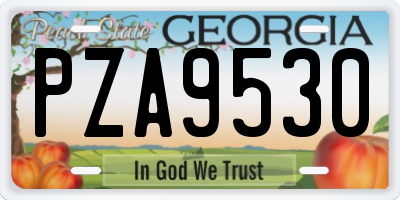 GA license plate PZA9530