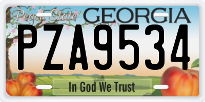 GA license plate PZA9534