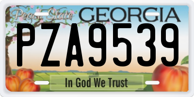 GA license plate PZA9539