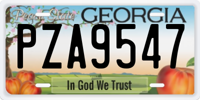 GA license plate PZA9547