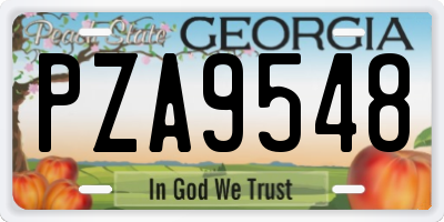 GA license plate PZA9548
