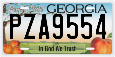 GA license plate PZA9554