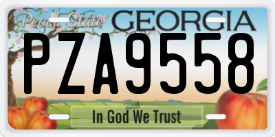 GA license plate PZA9558
