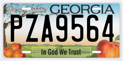 GA license plate PZA9564