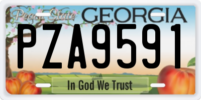 GA license plate PZA9591