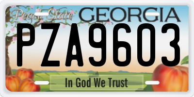 GA license plate PZA9603