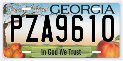 GA license plate PZA9610