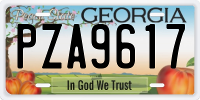 GA license plate PZA9617