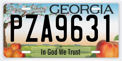 GA license plate PZA9631
