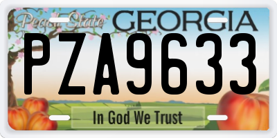 GA license plate PZA9633