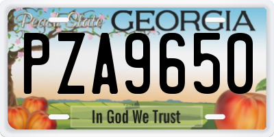 GA license plate PZA9650