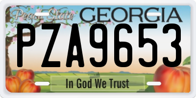 GA license plate PZA9653