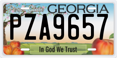 GA license plate PZA9657