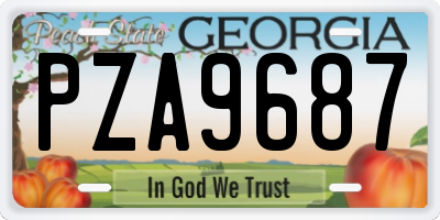 GA license plate PZA9687