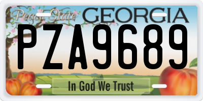 GA license plate PZA9689