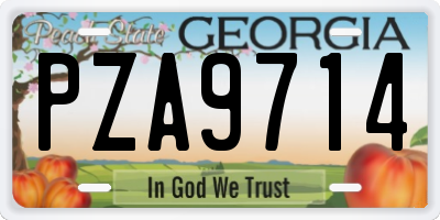 GA license plate PZA9714