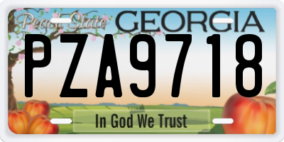 GA license plate PZA9718