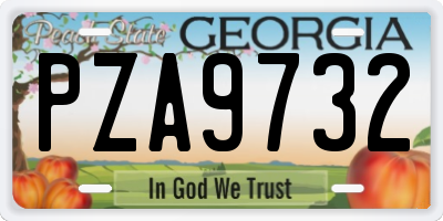 GA license plate PZA9732