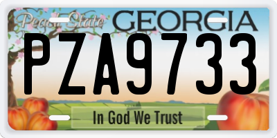 GA license plate PZA9733