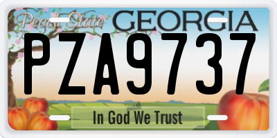 GA license plate PZA9737
