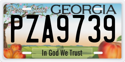 GA license plate PZA9739