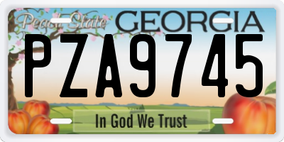 GA license plate PZA9745