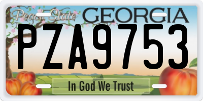 GA license plate PZA9753