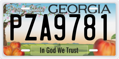 GA license plate PZA9781