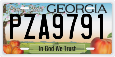 GA license plate PZA9791