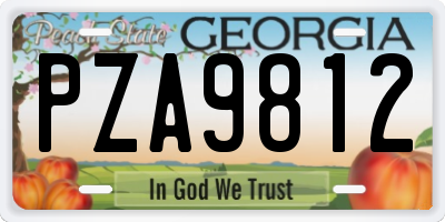 GA license plate PZA9812
