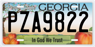 GA license plate PZA9822