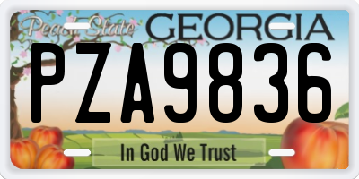 GA license plate PZA9836