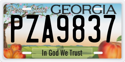 GA license plate PZA9837