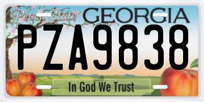 GA license plate PZA9838