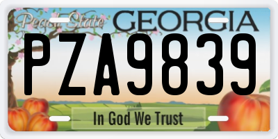 GA license plate PZA9839