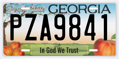 GA license plate PZA9841