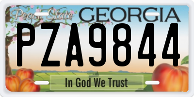 GA license plate PZA9844