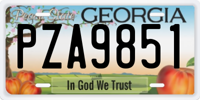 GA license plate PZA9851